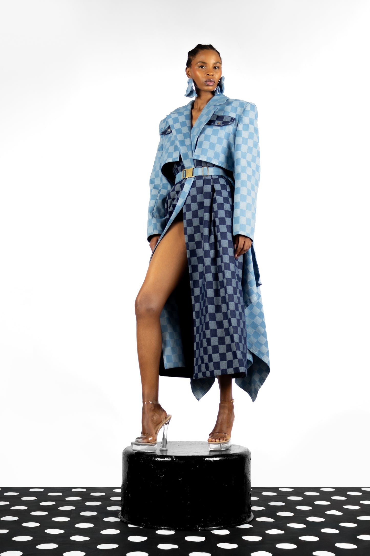 The Checkered Coat