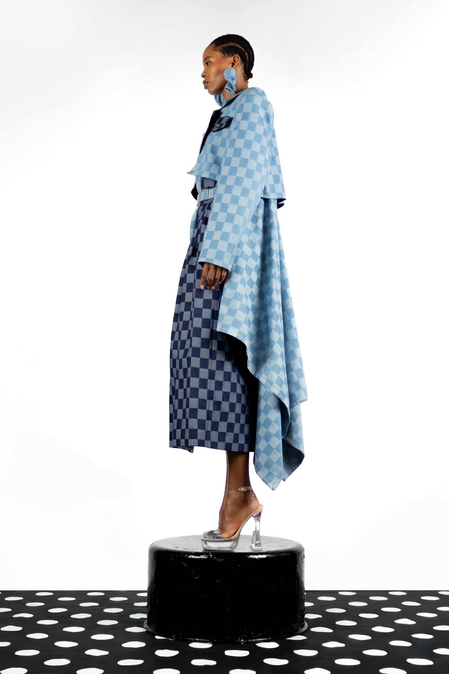 The Checkered Coat