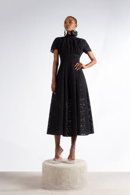 The Diffusion Dress