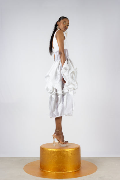 The Veil Dress (Unlined)