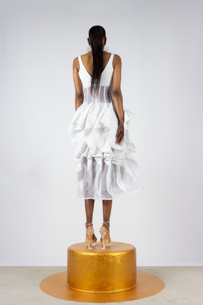 The Veil Dress (Unlined)