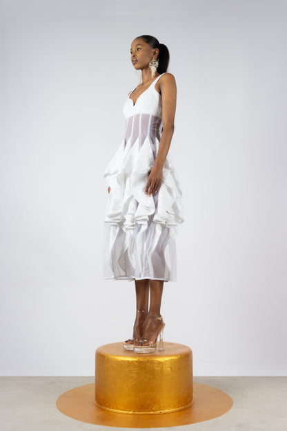 The Veil Dress (Unlined)