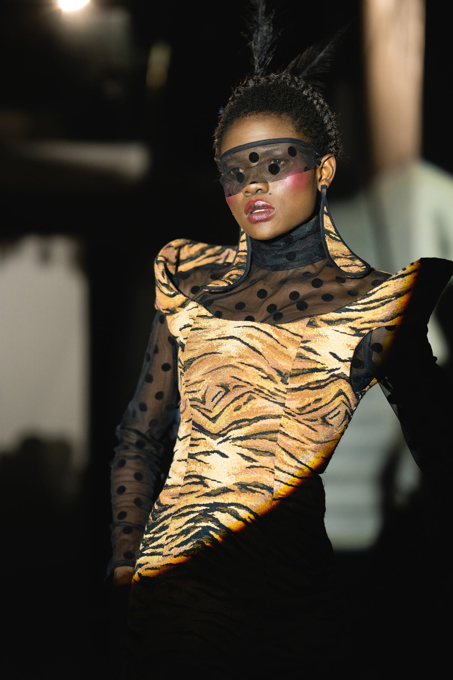 The Feline Structured Dress