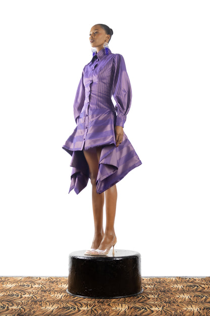 The Carousel Shirt Dress