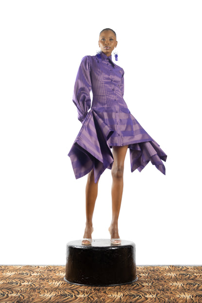 The Carousel Shirt Dress
