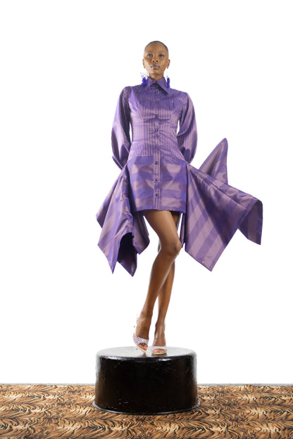 The Carousel Shirt Dress