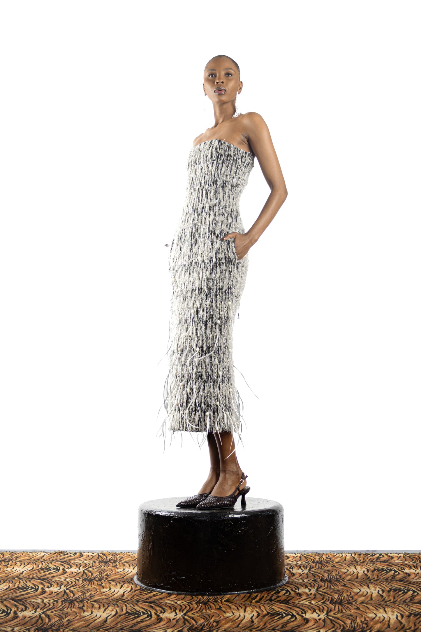 The Feathered Embellished Dress