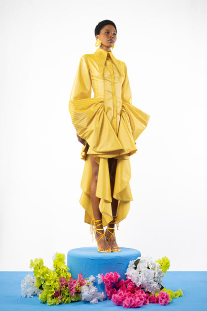 The Iris Shirt Dress