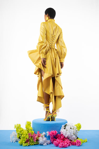 The Iris Shirt Dress