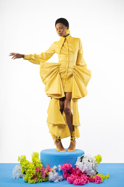 The Iris Shirt Dress