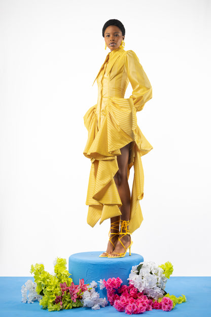 The Iris Shirt Dress